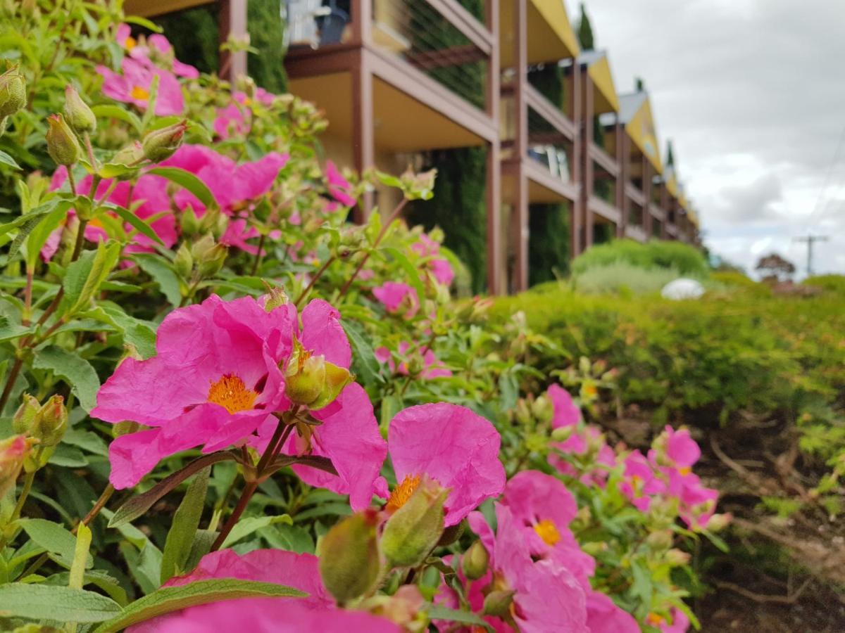 Seaview Motel & Apartments Apollo Bay Kültér fotó