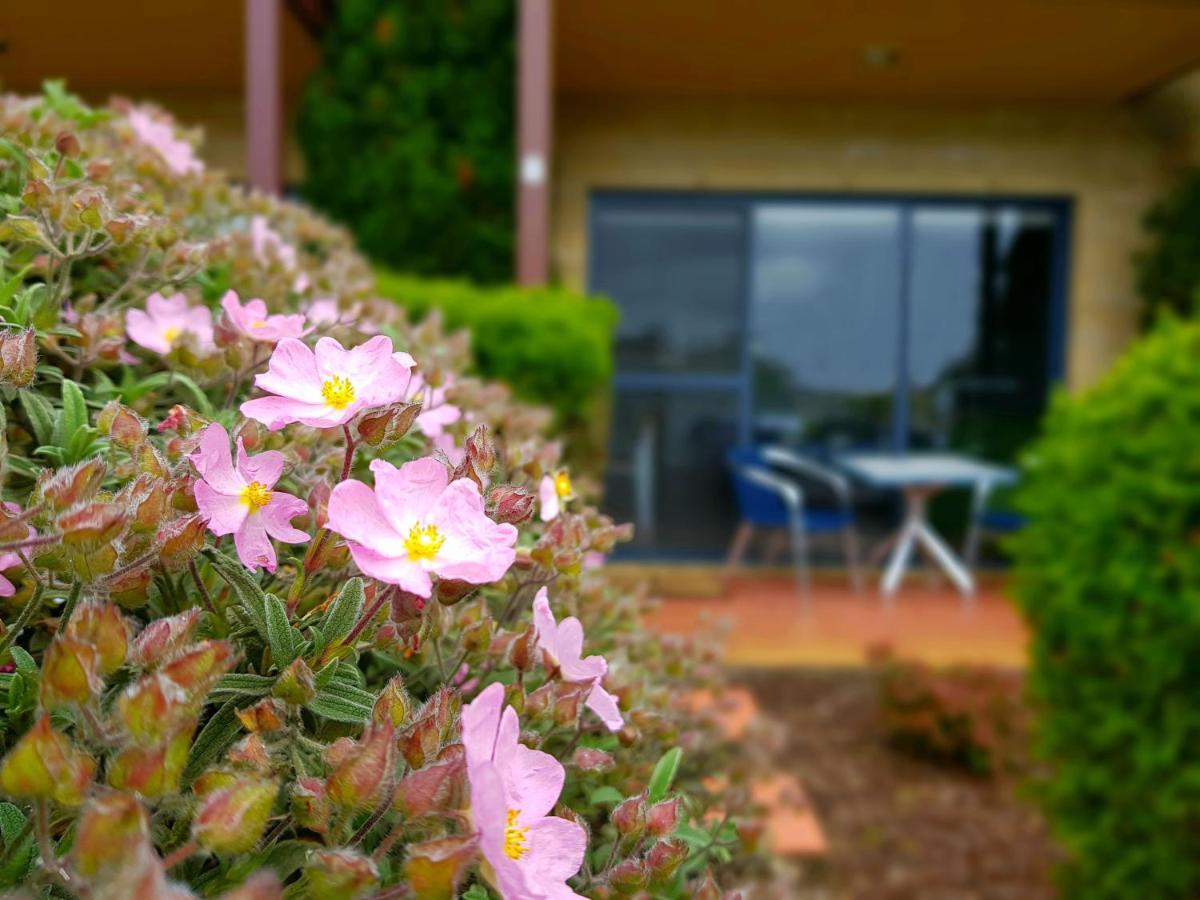 Seaview Motel & Apartments Apollo Bay Kültér fotó
